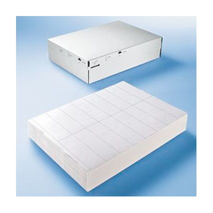 HERMA Universal-Etiketten DATAPRINT, 205 x 148,5 mm, wei