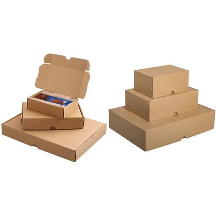 SMARTBOXPRO Maxibriefkarton, (B)241 x (T)160 x (H)80 mm