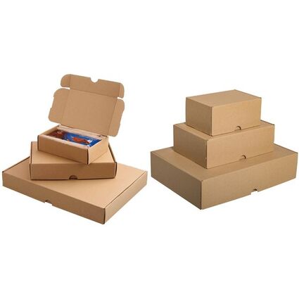 SMARTBOXPRO Maxibriefkarton, (B)175 x (T)115 x (H)45 mm