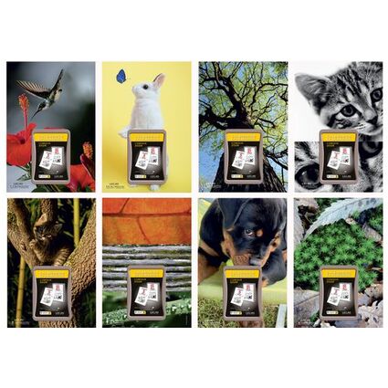 LECAS Calendrier éphéméride mural NATURE, bloc comique, 2024 100771985