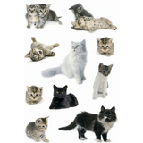 HERMA sticker DECOR "Katzenfotos"