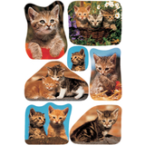 HERMA sticker DECOR "Katzenfotos"