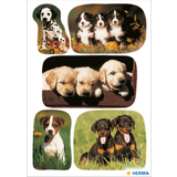 HERMA sticker DECOR "Hundewelpenfotos"