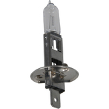 cartrend kfz-lampe H1 fr Hauptscheinwerfer, 12 V, 55 Watt