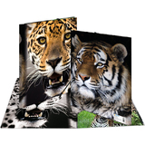 HERMA eckspannermappe "Leopard", aus PP, din A4