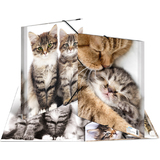 HERMA eckspannermappe "Katzen", aus PP, din A4