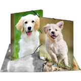 HERMA eckspannermappe "Hunde", aus PP, din A4
