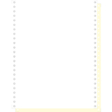 EXACOMPTA computerpapier endlos, 240 mm x 12" (30,48 cm)