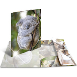 HERMA eckspannermappe "Koala", pp Glossy, din A4