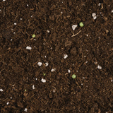 COMPO sana Qualitts-Blumenerde ca. 50% weniger Gewicht, 25l