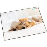 Lufer schreibunterlage Hund und Katze, 400 x 530 mm