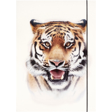 folia zeichnungsmappe BASIC "Roaring Tiger", Karton, din A3