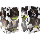 HERMA Stiftekcher "Fuball", Karton
