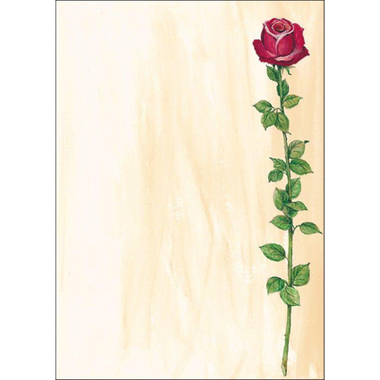 sigel Design-Papier, DIN A4, 90 g/qm, Motiv "Rose Bloom"