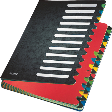LEITZ Pultordner Deskorganizer Color, A4, 1-24/A-Z, schwarz
