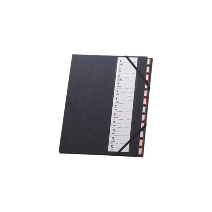 extendos Pultordner 48.12, 12 Fcher, mit Eckspannergummi