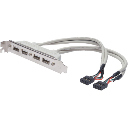 DIGITUS USB 2.0 Slotblech, 4 x USB Port, 0,25 m