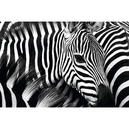 PAPERFLOW Wandbild "Zebra", aus Plexiglas