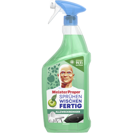Meister Proper Sprhen-Wischen-Fertig Spray Antibakteriell