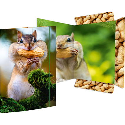 RNK Verlag Zeichnungsmappe "Chipmunk", DIN A3