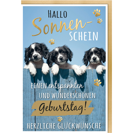 SUSY CARD Geburtstagskarte Humor "Mischlingshunde"