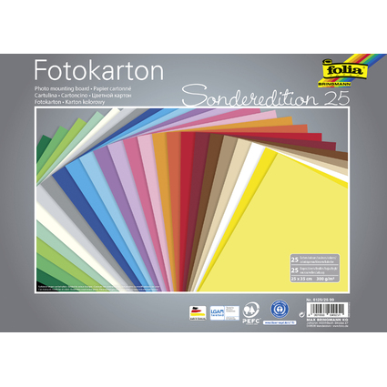 folia Fotokarton, (B)250 x (H)350 mm, 300 g/qm, sortiert