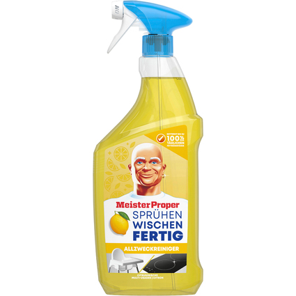 Meister Proper Sprhen-Wischen-Fertig Allzweckreiniger-Spray