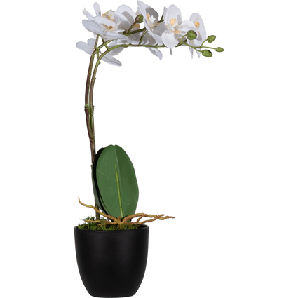 PAPERFLOW Kunstpflanze "Orchidee", wei, Hhe: 400 mm