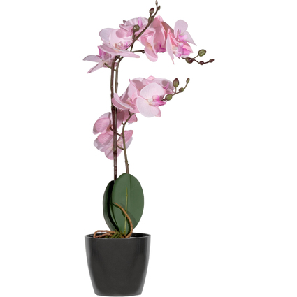 PAPERFLOW Kunstpflanze "Orchidee", rose, Hhe: 500 mm