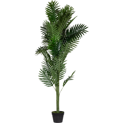 PAPERFLOW Kunstpflanze "Palme", Hhe: 1.600 mm