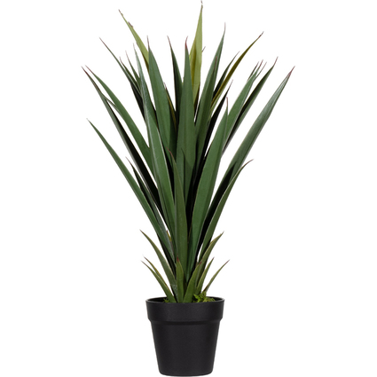 PAPERFLOW Kunstpflanze "Yucca", Hhe: 600 mm