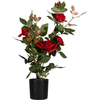 PAPERFLOW Kunstpflanze "Rosenstock", rot, Hhe: 540 mm