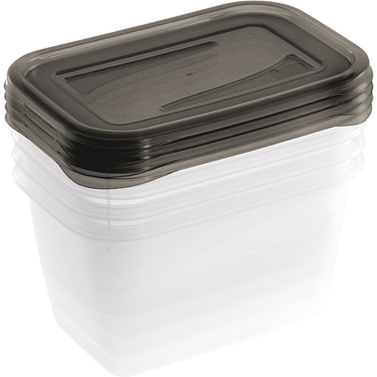 keeeper Frischhaltedose "fredo fresh", 4x 0,75 Liter, eckig
