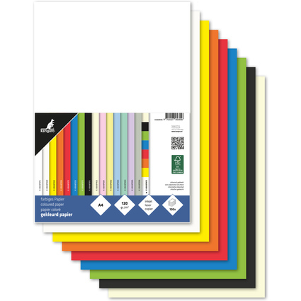 kangaro Multifunktionspapier, DIN A4, 120 g/qm, sortiert