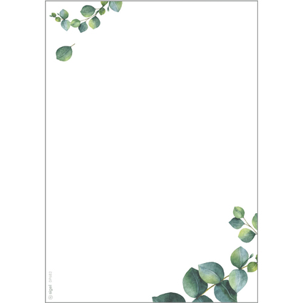 sigel Design-Papier "Eucalyptus", DIN A5, 90 g/qm