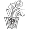 COMPO Dngestbchen fr Orchideen