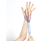 folia Fadenschnur "FingerTwist", 160 cm, regenbogenfarben