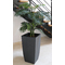 EDA Pflanzsule BASALT Diva, Hhe: 782 mm, antrhazit