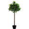 PAPERFLOW Kunstpflanze "Olivenbaum", Hhe: 1250 mm