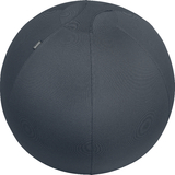 LEITZ sitzball Ergo Cosy, Durchmesser: 650 mm, grau