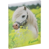 PAGNA freundebuch "Kleines Pony", 120 g/qm, 60 Blatt