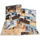HERMA eckspannermappe "Pferde", aus Karton, din A4