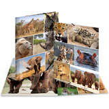 HERMA eckspannermappe "Afrika Tiere", aus Karton, din A4
