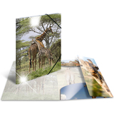 HERMA eckspannermappe "Giraffe", pp Glossy, din A3