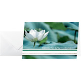 sigel trauerkarte "Water Lily", (B)115 x (H)170 mm