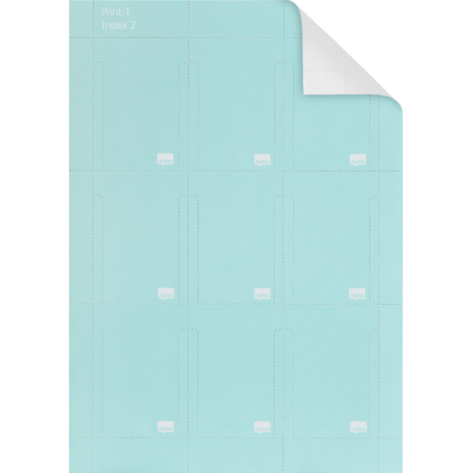 nobo T-Karten, Gre 2 / 60 mm, 130 g/qm, bedruckbar, blau