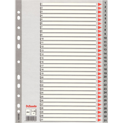 Esselte Kunststoff-Register, Zahlen, A4, 1-31, grau