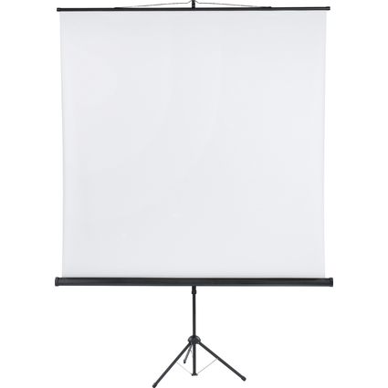 FRANKEN Stativleinwand X-tra!Line, (B)1.800 x (H)1.800 mm