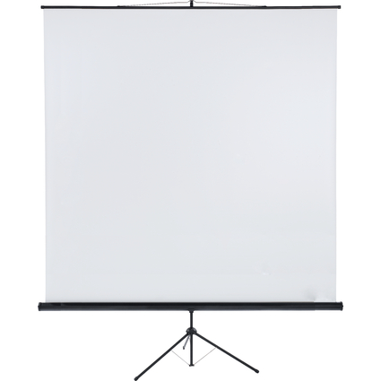 FRANKEN Stativleinwand X-tra!Line, (H)2.400 x (H)2.400 mm