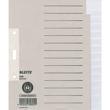 LEITZ Tauenpapier-Register, blanko, A5, 15-teilig, grau